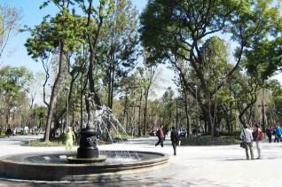 Significativo crecimiento de turistas internacionales vÃ­a aÃ©rea a la CDMX