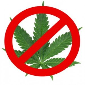 Política prohibicionista en el consumo de la marihuana a€œha sido un fracasoa€; coinciden académicos y legisladores
