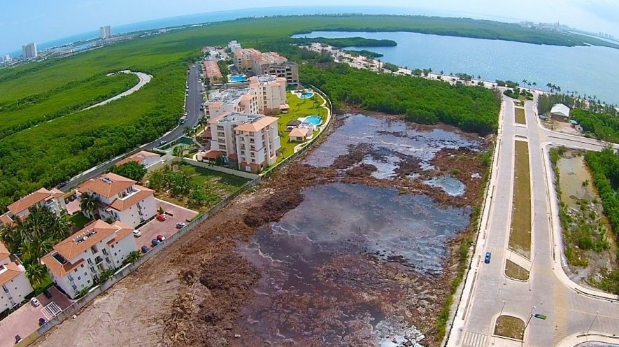 Exhorta Permanente a Semarnat a que informe sobre construcciones en el malecón de Tajamar, Quintana Roo