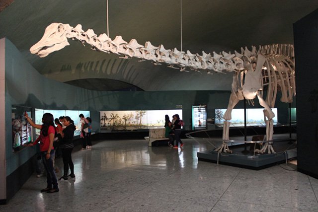 Anuncia Jefe de Gobierno creación del Fideicomiso del Museo de Historia Natural