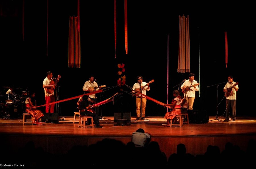 Somos el sur, concierto de Los Cojolites para celebrar 20 años de renovación del son jarocho