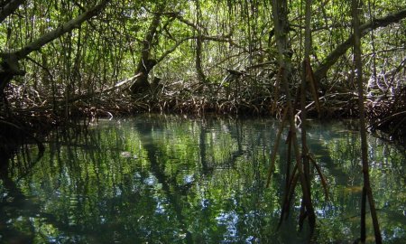 LOS HUMEDALES, EN ALTO GRADO DE VULNERABILIDAD