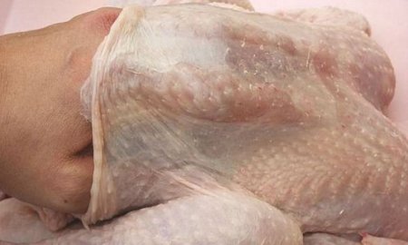 DESARROLLAN EN IPN SUSTITUTO DE PIEL PARA CURAR HERIDAS 