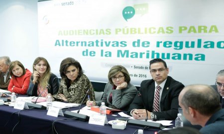 Senadoras, acadÃ©micos y especialistas confrontan posturas sobre regulaciÃ³n de cannabis