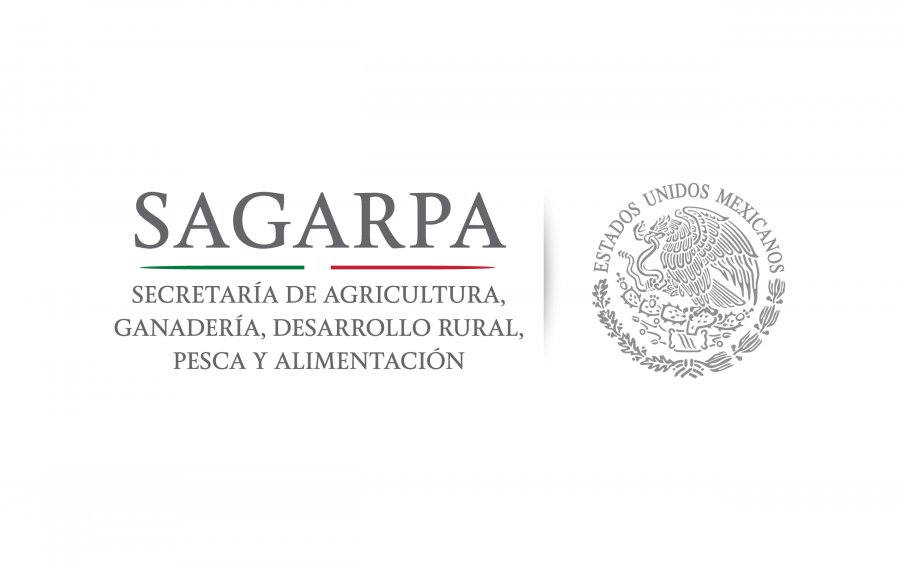 Designa titular de la SAGARPA a Francisco Vallejo Gil como coordinador general de Comunicación Social
