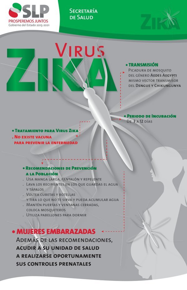 FORTALECER ESQUEMAS DE PATIO LIMPIO PARA EVITAR ZIKA: SS
