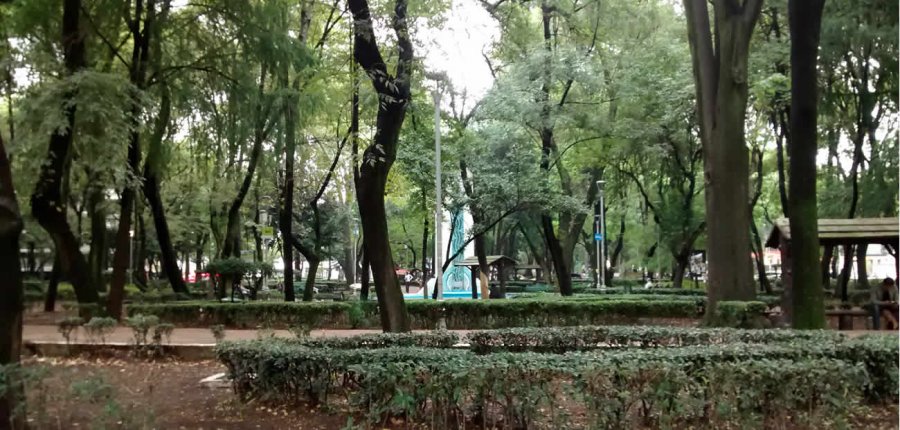 Mostrarán Paseos Históricos la riqueza cultural de Cuauhtémoc, Coyoacán y Miguel Hidalgo