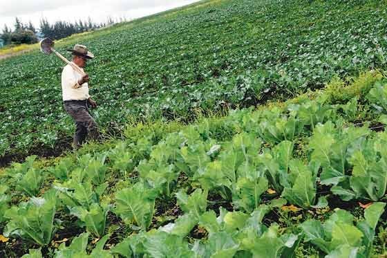 Diputados buscarán reunión con titular de SEDATU para abordar problemática agraria