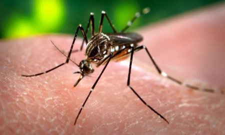 MÃ©xico continÃºa trabajando en reducir los riesgos del zika: SECTUR