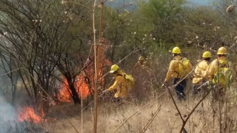 Incrementan incendios forestales en Morelos en los últimos días
