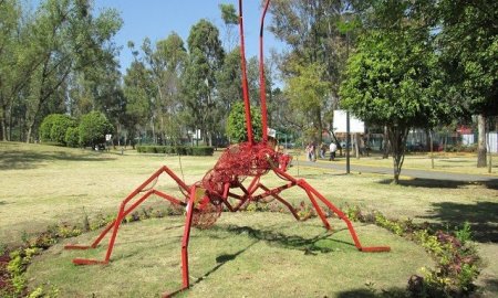 Mejora Calidad de Arcilla de la Trotapista del Parque TezozÃ³moc