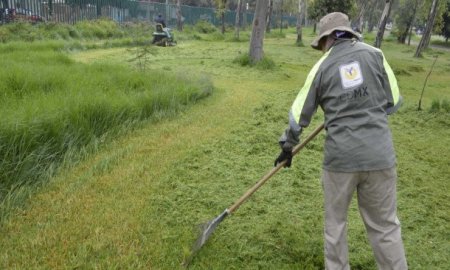 Rejuveneciendo los Jardines de Azcapotzalco