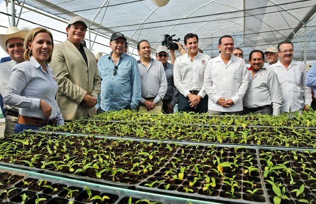 Sinaloa, punta de lanza en la actividad agrícola