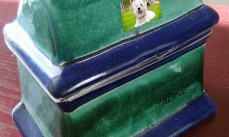 Azcapotzalco tendrÃ¡ horno crematorio para mascotas