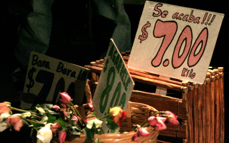 URGENTE, ACTUALIZAR MARCO JURÃDICO DE MERCADOS: DIP. SOCORRO MEZA