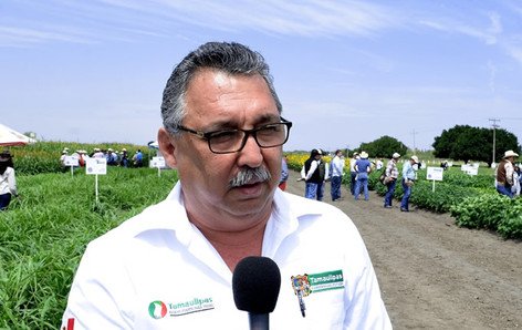 Apoya Gobierno de Tamaulipas producción de nogal y sábila