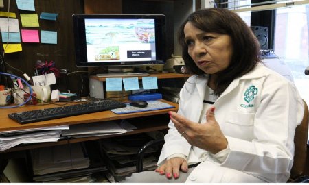 REHABILITA  CINVESTAV - IPN CHINAMPAS EN XOCHIMILCO