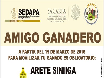 Obligatorio identificación individual de ganado para su movilización en Oaxaca: SEDAPA