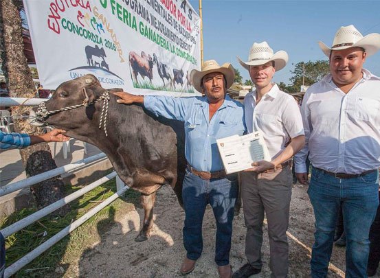 Velasco entrega ganado e insumos agrícolas con inversión de 8 mdp en La Concordia