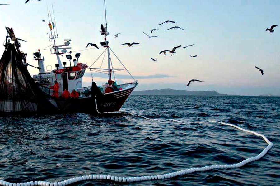 InnovaciÃ³n y TecnologÃ­a para alcanzar la mÃ¡xima en producciÃ³n pesquera 