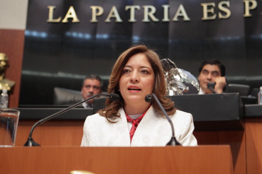 Gobierno no puede solo, la sociedad civil debe fortalecer a las familias, advierte la senadora Lisbeth Hernández