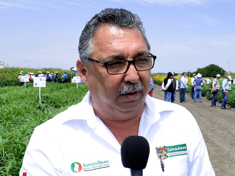 Gestiona Gobierno del Estado incentivos para cultivos de cártamo, canola y girasol
