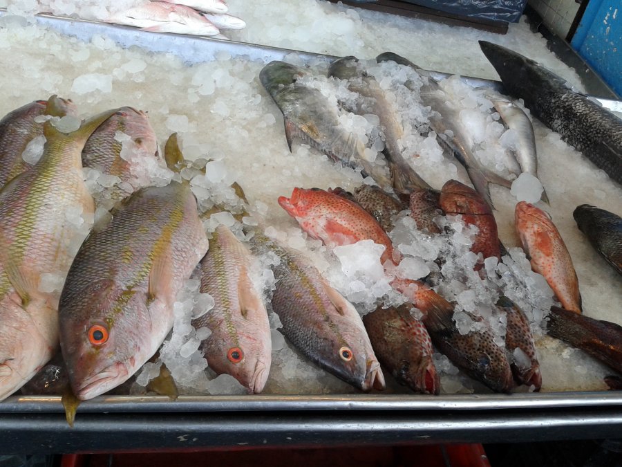 Inicia SEDESA operativo de vigilancia sanitaria en venta y preparación de pescados y mariscos