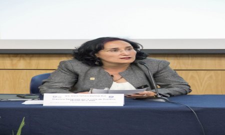 ASUME DIANA TAMARA MARTÃNEZ LA DIRECCIÃ“N DE LA ENES MORELIA 