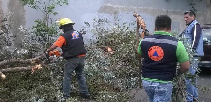 Azcapotzalco atendió contingencias por fuertes vientos