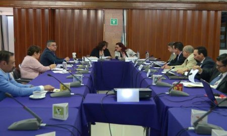 Presenta IEDF el Sistema informÃ¡tico de la estadÃ­stica de las Consultas Ciudadanas sobre Presupuesto Participativo