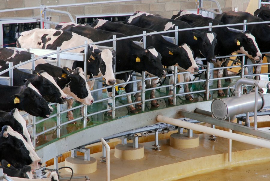 Jalisco atiende a los productores de leche
