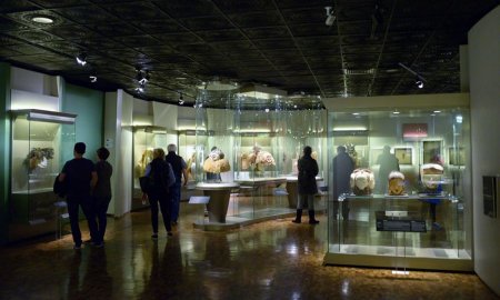 ExposiciÃ³n RÃ­o Congo, opciÃ³n gratuita para vacaciones 