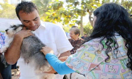 Aumenta la esterilizaciÃ³n de mascotas en Colima