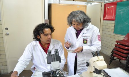 IPN POSEE COLECCIÃ“N DE ALGAS MÃS GRANDE DEL PAÃS