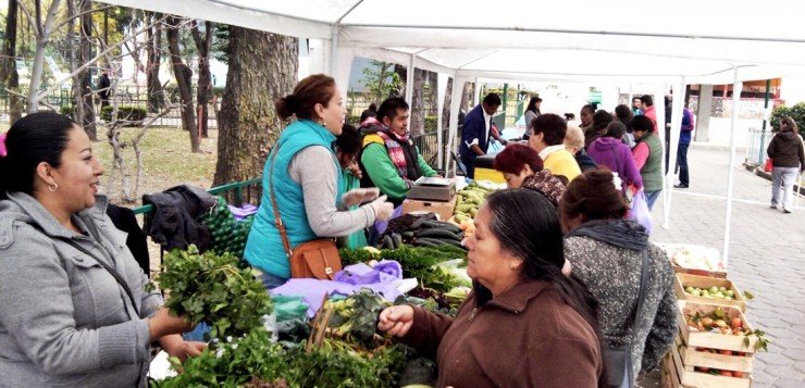 Quesos y verduras frescas a€œDel Campo a Azcapotzalcoa€