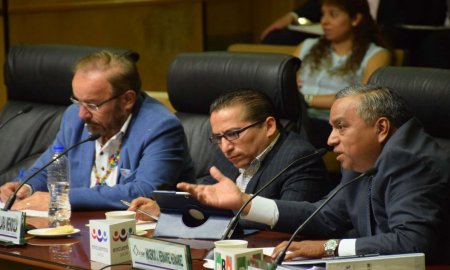Captura IEDF mÃ¡s de 38 mil firmas de apoyo de aspirantes a candidatura independiente a la Asamblea Constituyente