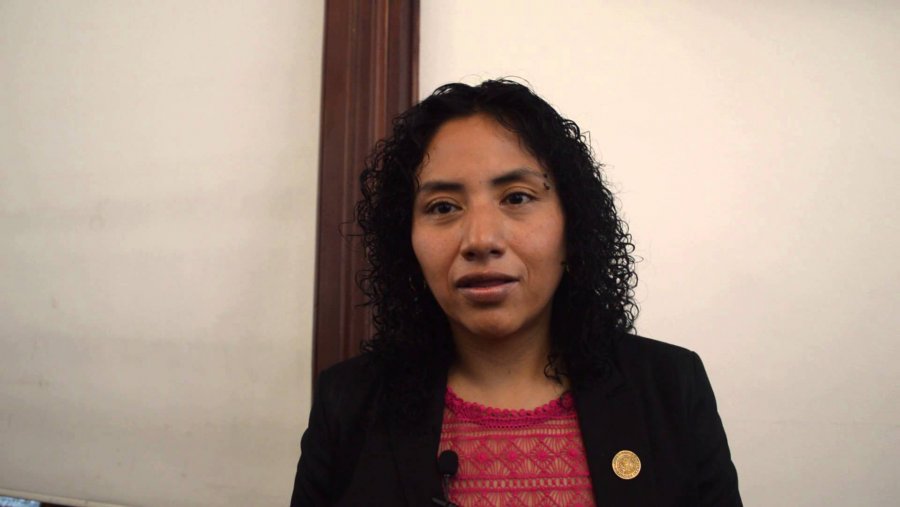 Ciudad de México será sede del Encuentro Nacional de Juventudes: diputada Beatriz Olivares Pinal