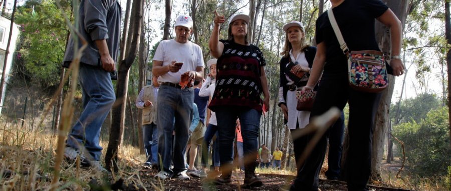 Jornada de limpieza en Bosques de las Lomas