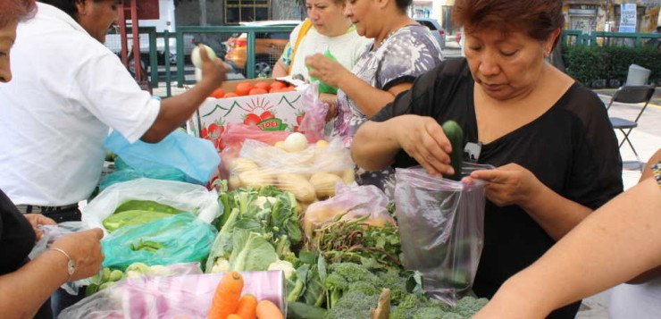 Ahorran hasta 40% en el mercado a€œDel Campo a Azcapotzalcoa€