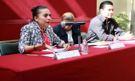 INICIA ESTE FIN DE SEMANA EL FESTIVAL CULTURAL DE MALINALCO 2016