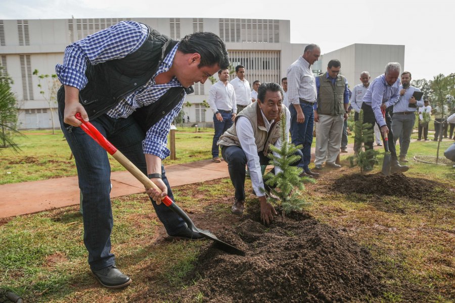 Despuntan exportaciones en Jalisco, crecen 10.2 en primer trimestre