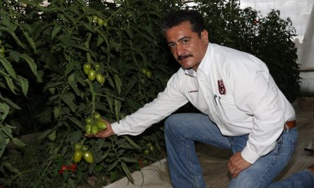 DESARROLLAN POLITÃ‰CNICOS PAQUETES TECNOLÃ“GICOS PARA EL SECTOR AGRÃCOLA