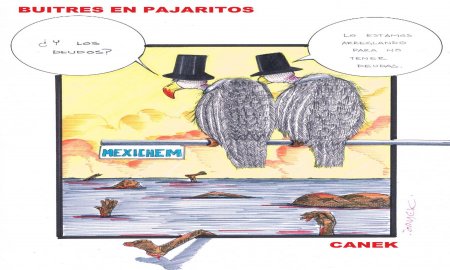 BUITRES EN PAJARITOS