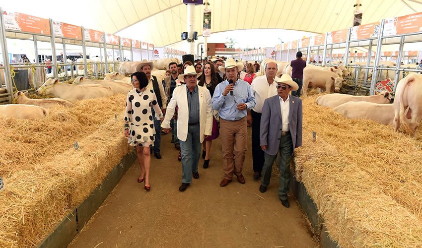 Inicia Segunda Etapa de la Expo Ganadera