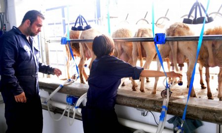 CERTIFICAN TRES ÃREAS DE ENSEÃ‘ANZA E INVESTIGACIÃ“N ANIMAL DE LA UNAM 