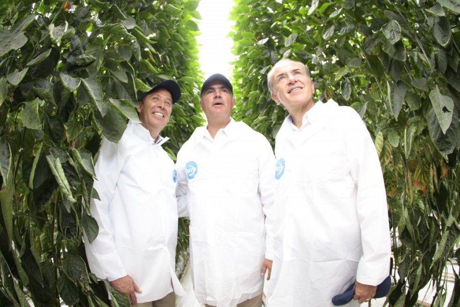 Guanajuato líder en producción de hortalizas en el país.