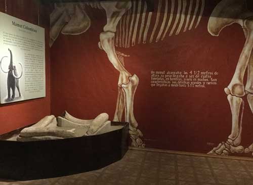 Abre exhibición permanente sobre la Era de Hielo en Querétaro