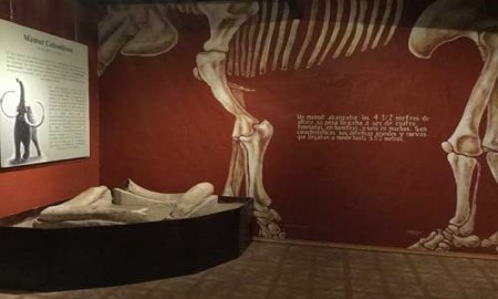 Abre exhibiciÃ³n permanente sobre la Era de Hielo en QuerÃ©taro 