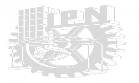 INMINENTE PÃ‰RDIDA DEL SEMESTRE SI ESTUDIANTES NO REGRESAN  A CLASES: IPN