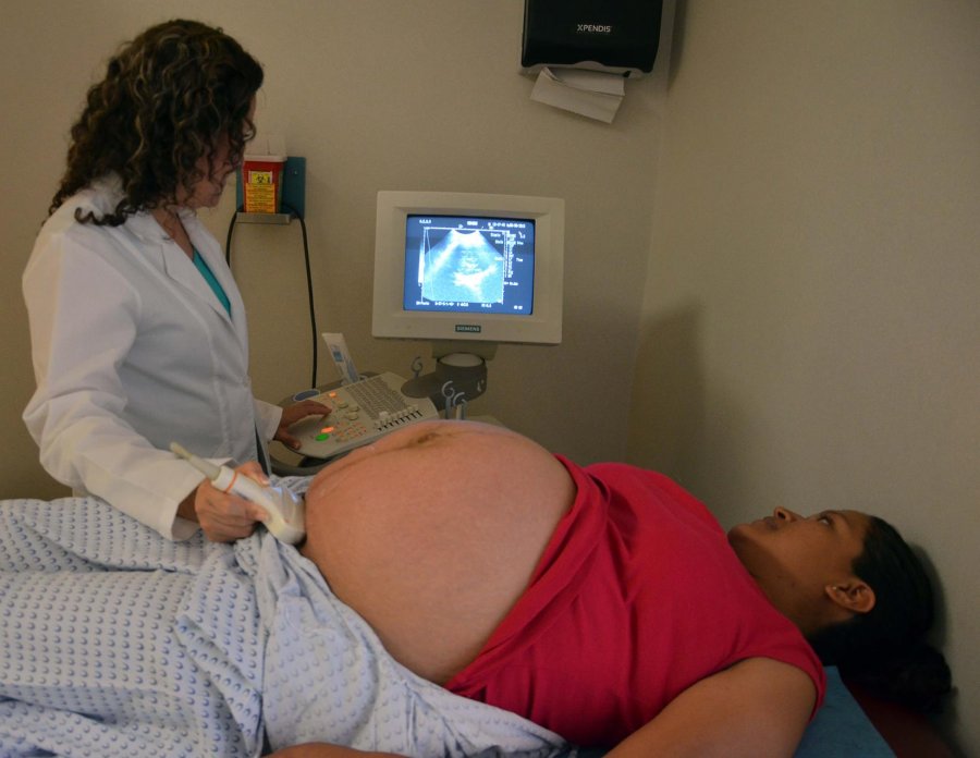 Instituyen el Día Nacional de Salud Materna y Perinatal